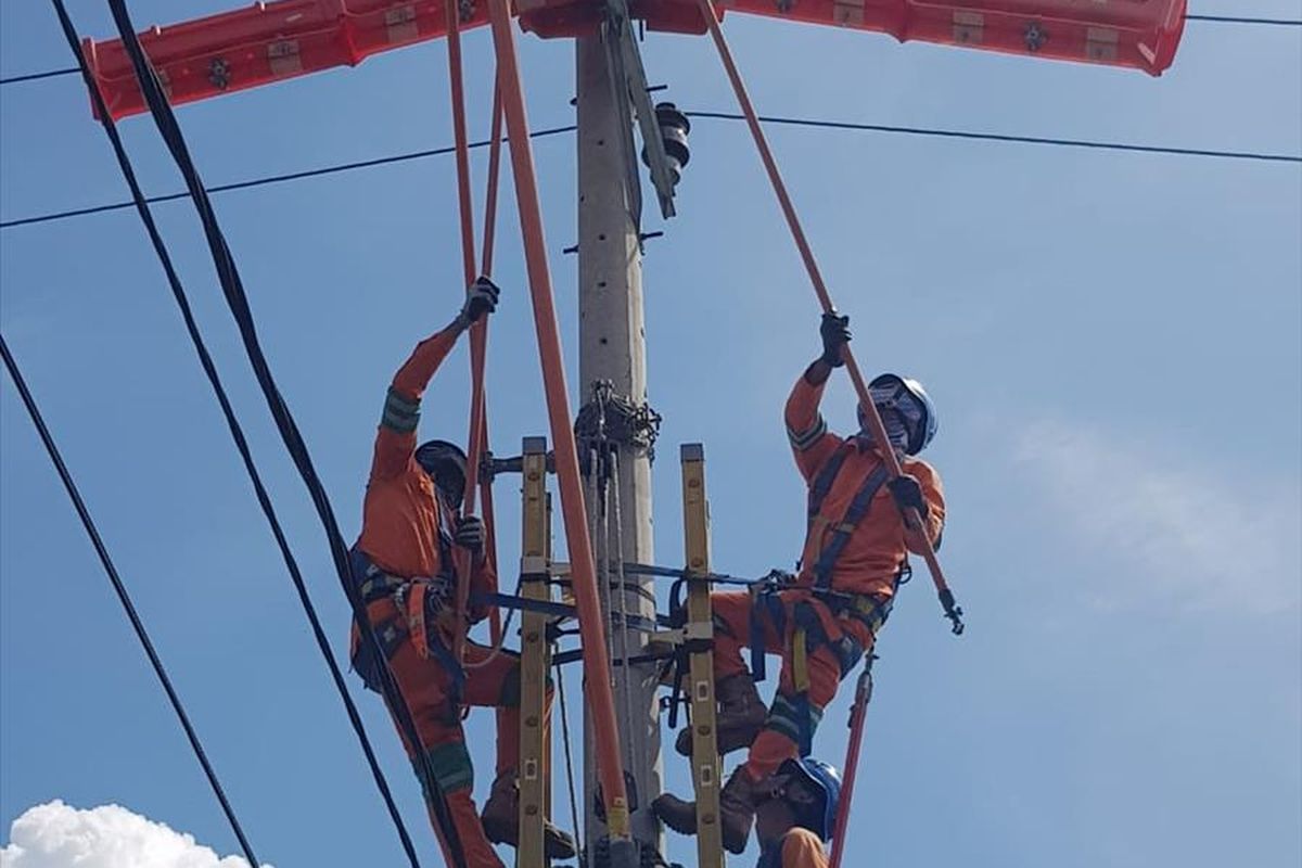 PLN Sumbar melakukan pemeliharaan jaringan sehingga empat daerah terkena pemadaman listrik terjadwal. (Dok: Humas PLN Sumbar)
