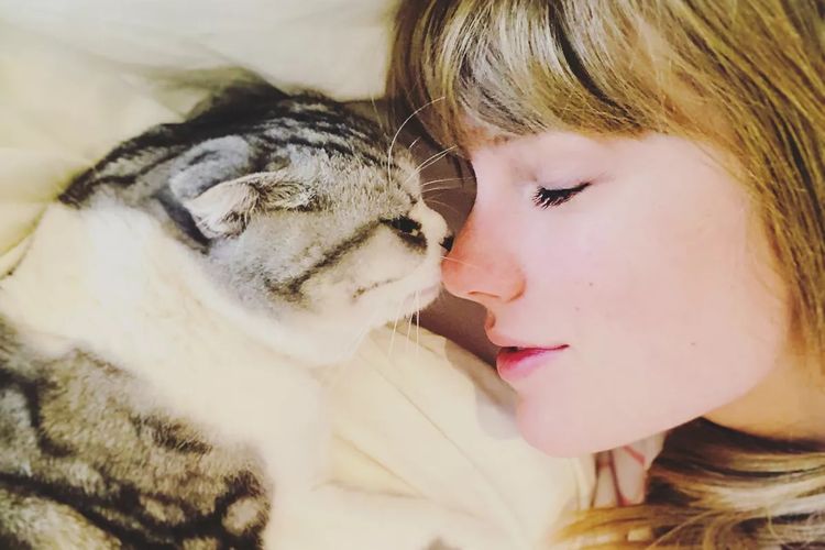 Penyanyi Taylor Swift dengan salah satu kucing kesayangannya. 