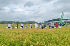 Awas! Penipuan AI Makin Canggih, Suara dan Wajah Bisa Dipalsukan