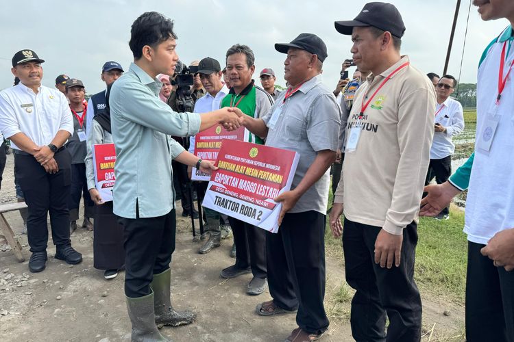 Gibran Beri Bantuan Saat Tanam Padi Bersama Petani di Ngawi