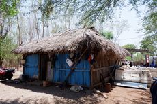 Hanya Beratap Daun, Ini Kondisi Rumah Peraih Medali Emas PON Papua Asal NTT yang Dijemput Pakai Pikap