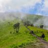 Kronologi Pendaki Merbabu Tewas Tersambar Petir di Jalur Suwanting