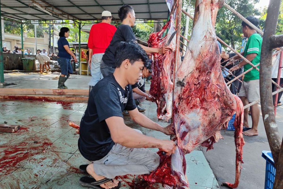 Proses pemotongan daging kurban di Masjid Cut Meutia, Jakarta Pusat, saat Idul Adha, Kamis (29/6/2023). 