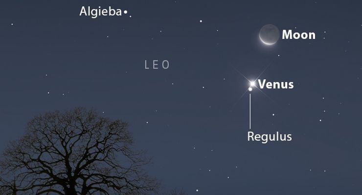 Bulan Sabit, Venus, dan Regulus Berbaris di Fajar Besok