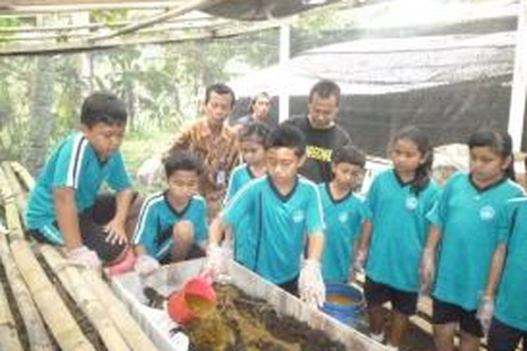 Siswa SD Negeri Polosiri 01, Bawen, Kabupaten Semarang sedang menyiapkan wahana produksi kotoran 

cacing di kompleks Kandang Komunal Kelompok Tani Ternak (KTT) Bangun Rejo