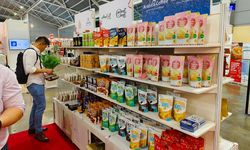 BRI Berangkatkan 8 UMKM untuk Ikuti Pameran FHA Food and Beverage 2024 di Singapura