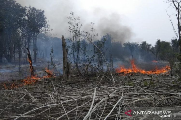 Tim gabungan sedang memadamkan kebakaran hutan di kawasan Taman Nasional Danau Sentarum wilayah Kapuas Hulu Kalimantan Barat. (ANTARA/Timotius/ Balai Besar Taman Nasional Betung Kerihun dan Danau Sentarum.)