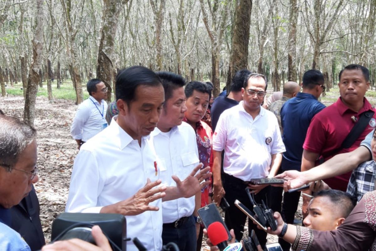 Presiden Joko Widodo (Jokowi) di kawasan Balai Penelitian Karet Sembawa, Banyuasin, Sabtu (9/2/2019).

