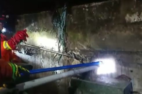 Ular Kobra Menyelinap di Sela Tembok Rumah Warga Cibubur, Damkar Turun Tangan