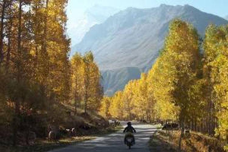 Keindahan Himalaya menjelang musim dingin ketika dedaunan menguning sebelum luruh ke tanah. 