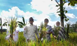Panen Raya, Pimpinan DPRD Kota Bogor Turun ke Sawah Bersama Petani