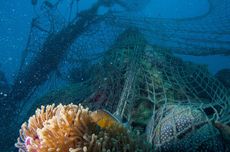 "Ghost Gear" Rugikan Miliaran Rupiah dan Ancam Keberlanjutan Laut