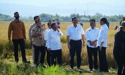 Puas dengan Hasil Panen Raya di Sulsel, Jokowi Minta Beras Segera Didistribusikan ke Wilayah Lain