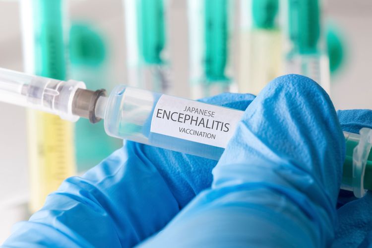 Japanese encephalitis (JE) merupakan suatu penyakit yang disebabkan oleh infeksi virus Japanese encephalitis yang ditularkan oleh nyamuk Culex.