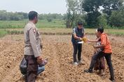 Petani di Sampang Tewas Dianiaya Tetangga Pakai Bambu Saat Garap Sawah, Pelaku Diamankan