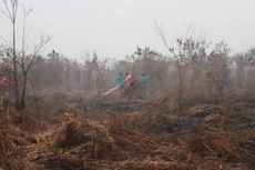 Walhi Ungkap Modus Klaim Asuransi dalam Kasus Kebakaran Hutan