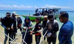 Merawat Ekosistem Pesisir Malili lewat Transplantasi Karang dan Restorasi Mangrove