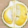 Orang dengan Penyakit Apa Saja yang Tidak Boleh Makan Durian?