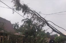 Hujan dan Puting Beliung Landa Ngawi, 15 Rumah di 2 Desa Rusak