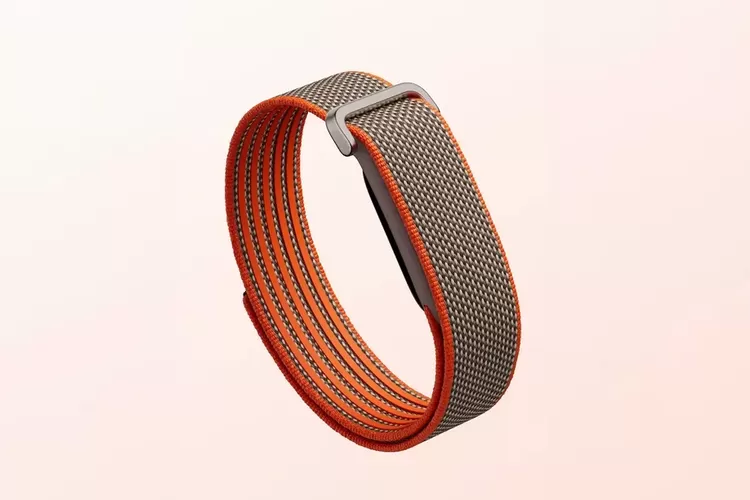 Google Fitbit Air edisi NBA.