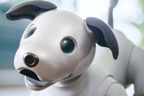 Robot Anjing Aibo Lahir Kembali