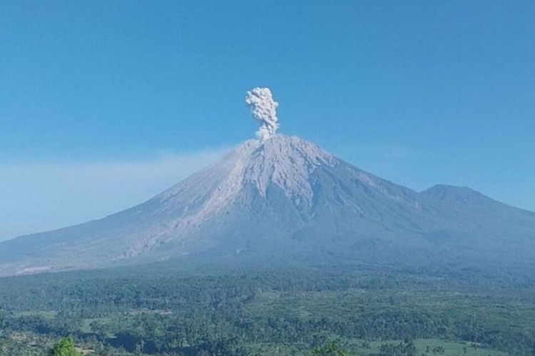 Gunung Semeru Erupsi 6 Kali sejak Dini Hari, Letusan Tertinggi Tembus 1.000 Meter