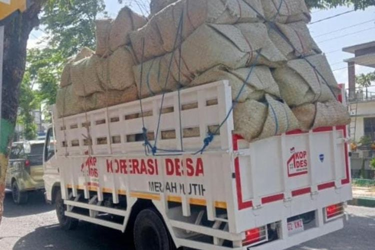 Truk dan Pikap KDMP Marak Angkut Tembakau di Pamekasan, Dinas Koperasi: Kami Tak Tahu Alurnya