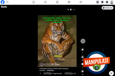 INFOGRAFIK: Video Harimau Duduk dengan Pose Manusia Hasil Manipulasi AI