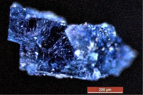 Kali Pertama, Ilmuwan Temukan Resep Kehidupan dalam Meteorit