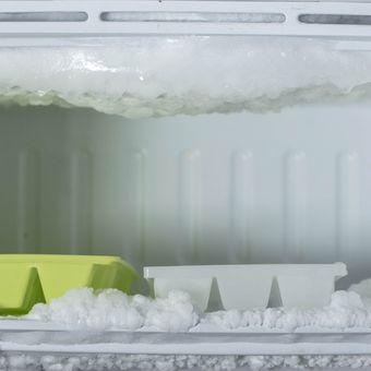 Ilustrasi bunga es di freezer. 