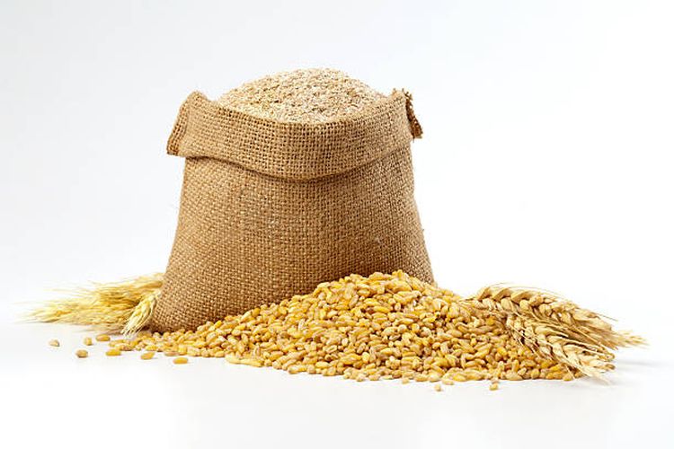Perbedaan gandum dan oat.
