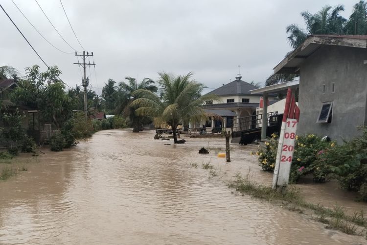 Kondisi banjir di Kabupaten Sergai, Sumatera Utara, Selasa (28/1/2025)