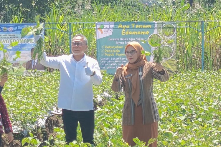 Dari Lahan Sekolah ke Jepang, Edamame Siswa SMK Bawen Tembus Pasar Ekspor