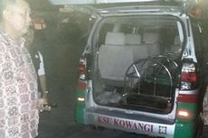 Dua Ambulans Didatangkan Banyuwangi untuk Jemput Jenazah Angeline