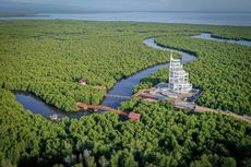 Menparekraf Resmikan Tower Mangrove Langsa, Tempat Wisata Baru di Aceh