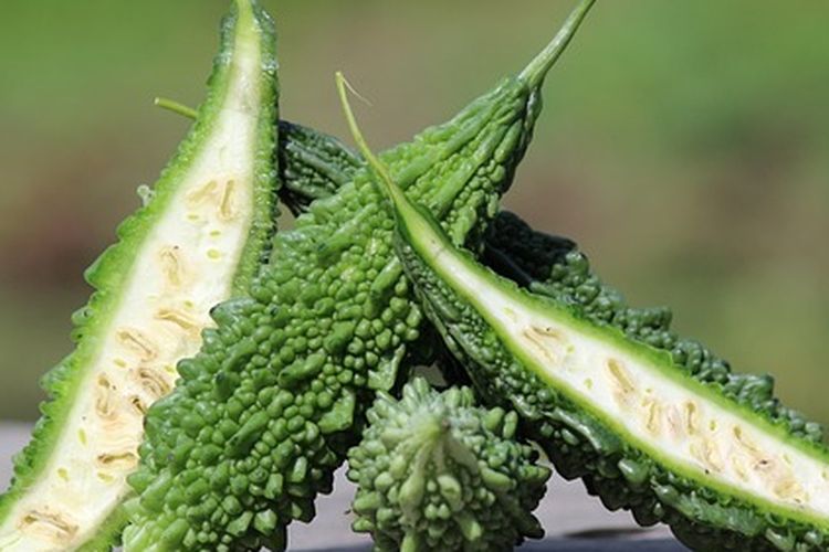 Ilustrasi sayur pare