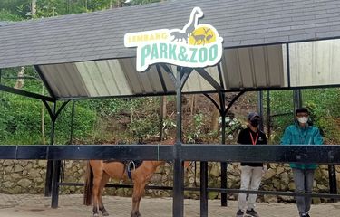 Viral, Video Kandang Kuda di Lembang Park and Zoo Diterjang Banjir ...