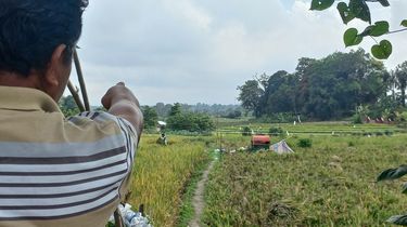 150 Hektar Lahan Pertanian Padi Sawah di Simalungun Terlantar Akibat Pengalihan Sumber Mata Air