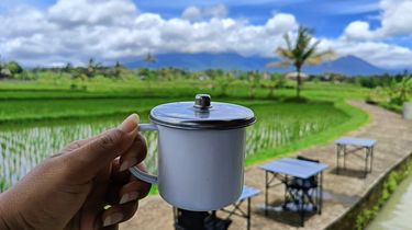Jenuh di Kota, Ngopi di Tepi Sawah Makin Tren di Bali: Damai dan Segar