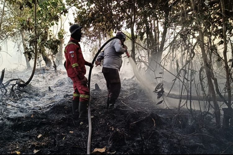 Kebakaran Hutan dan Lahan di Kampar Riau, Petugas Berjibaku Lawan Asap Tebal dan Air Terbatas
