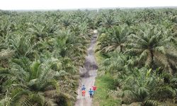 Efisiensi Anggaran Proyek Pipa Minyak Blok Rokan Capai Rp 2,1 Triliun