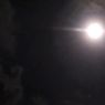 Heboh Fenomena Pink Moon, Ini Asal-usul Nama Bulan Merah Muda