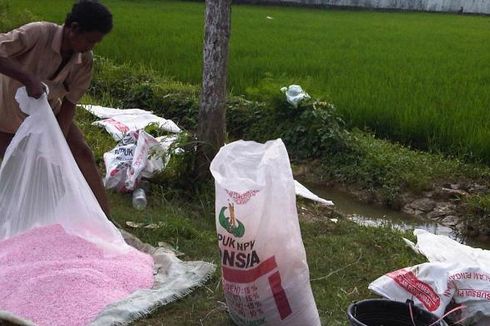 Mentan Klaim Nilai Manfaat Subsidi Pupuk Capai 250 Persen