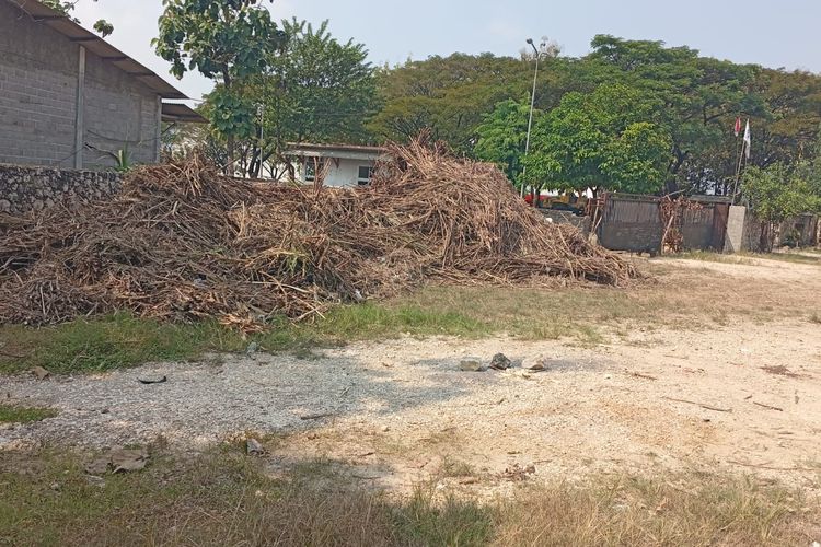 Ribuan Tebu yang Ditumpahkan di Pabrik Gula Blora Dipindah, Petani Kecewa: Kita Mau Uji