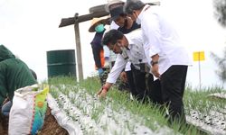 Antisipasi La Nina, Kementan Laksanakan Gerakan Pengendalian OPT dan Pengendalian DPI