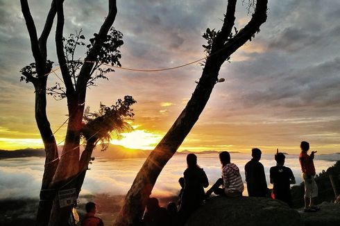 Panduan Menuju Tongkonan Lempe, Negeri Atas Awan di Toraja Utara