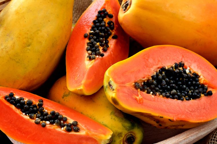 Ilustrasi pepaya, buah pepaya. 