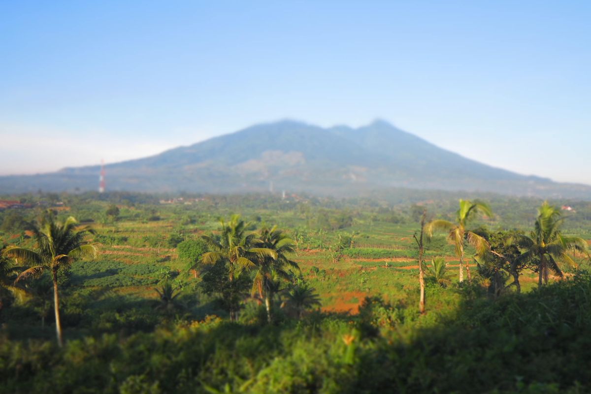 Ilustrasi gunung salak cijeruk.