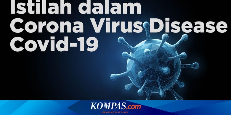 Infografik Daftar Istilah Terkait Virus Corona Dan Covid 19