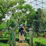 Taman Burung TMII Punya Wajah Baru, Catat Harga Tiket dan Jam Bukanya